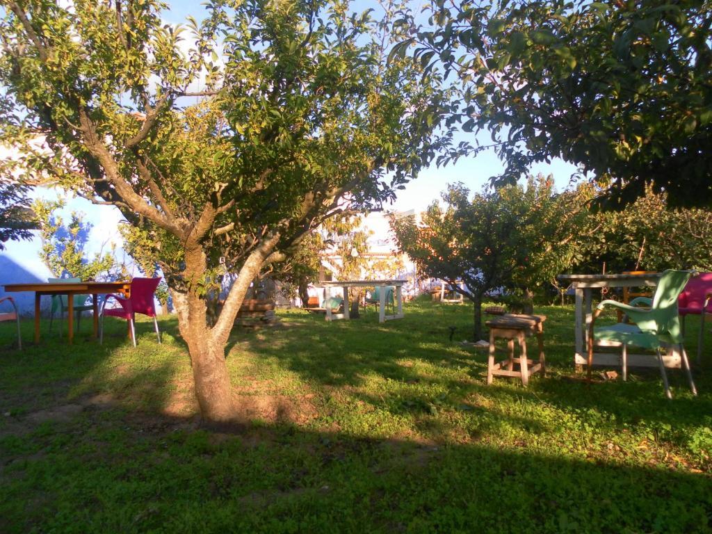 Lemon Tree Hostel Areia Branca Værelse billede