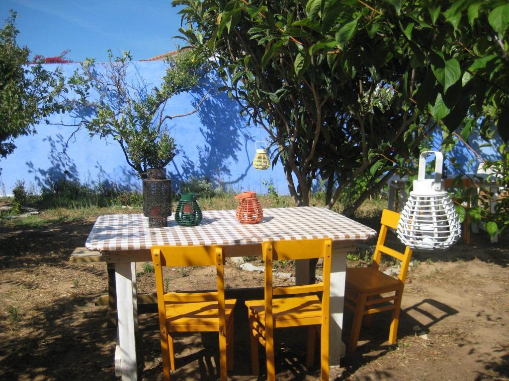 Lemon Tree Hostel Areia Branca Værelse billede