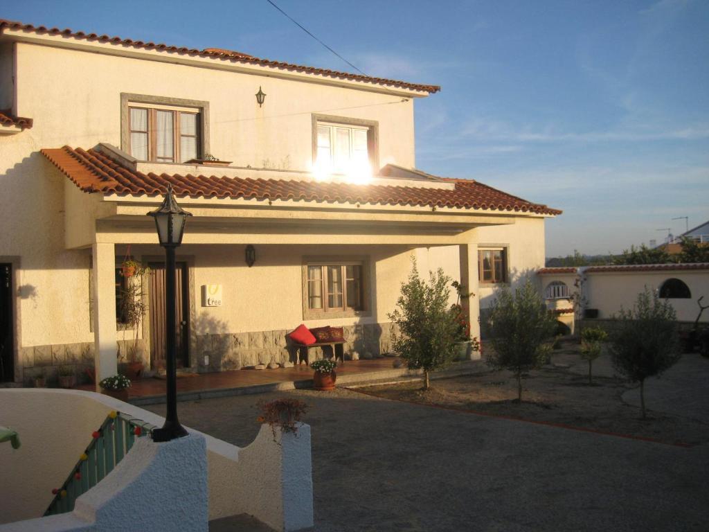 Lemon Tree Hostel Areia Branca Værelse billede